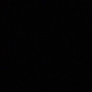 Meet your Posher, Priscilla